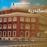 جامعة الإسكندرية