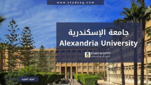 جامعة الإسكندرية