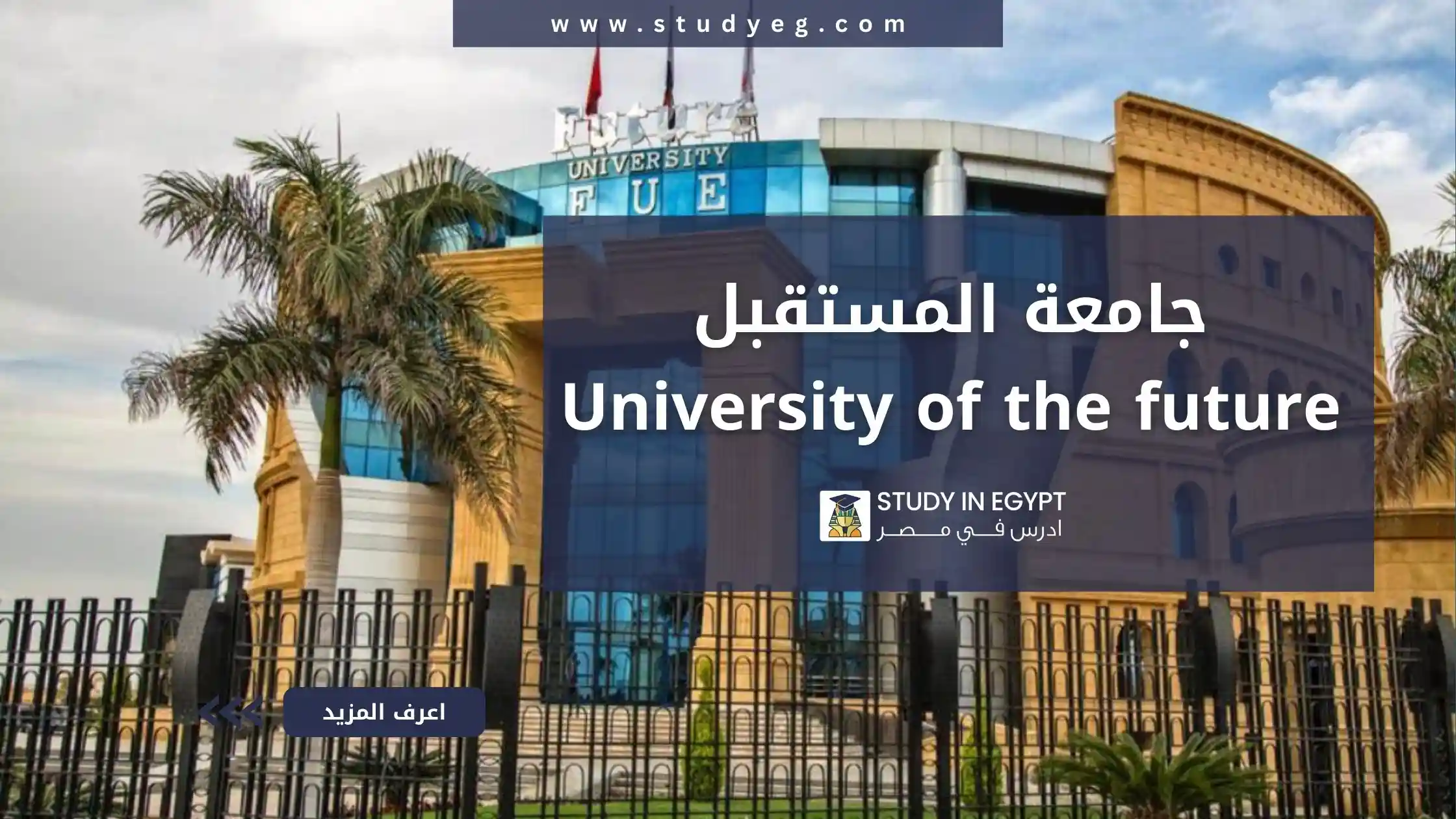 جامعة المستقبل في مصر