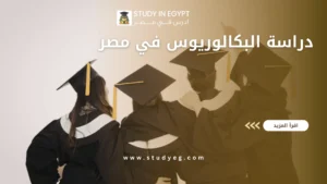 دراسة البكالوريوس في مصر
