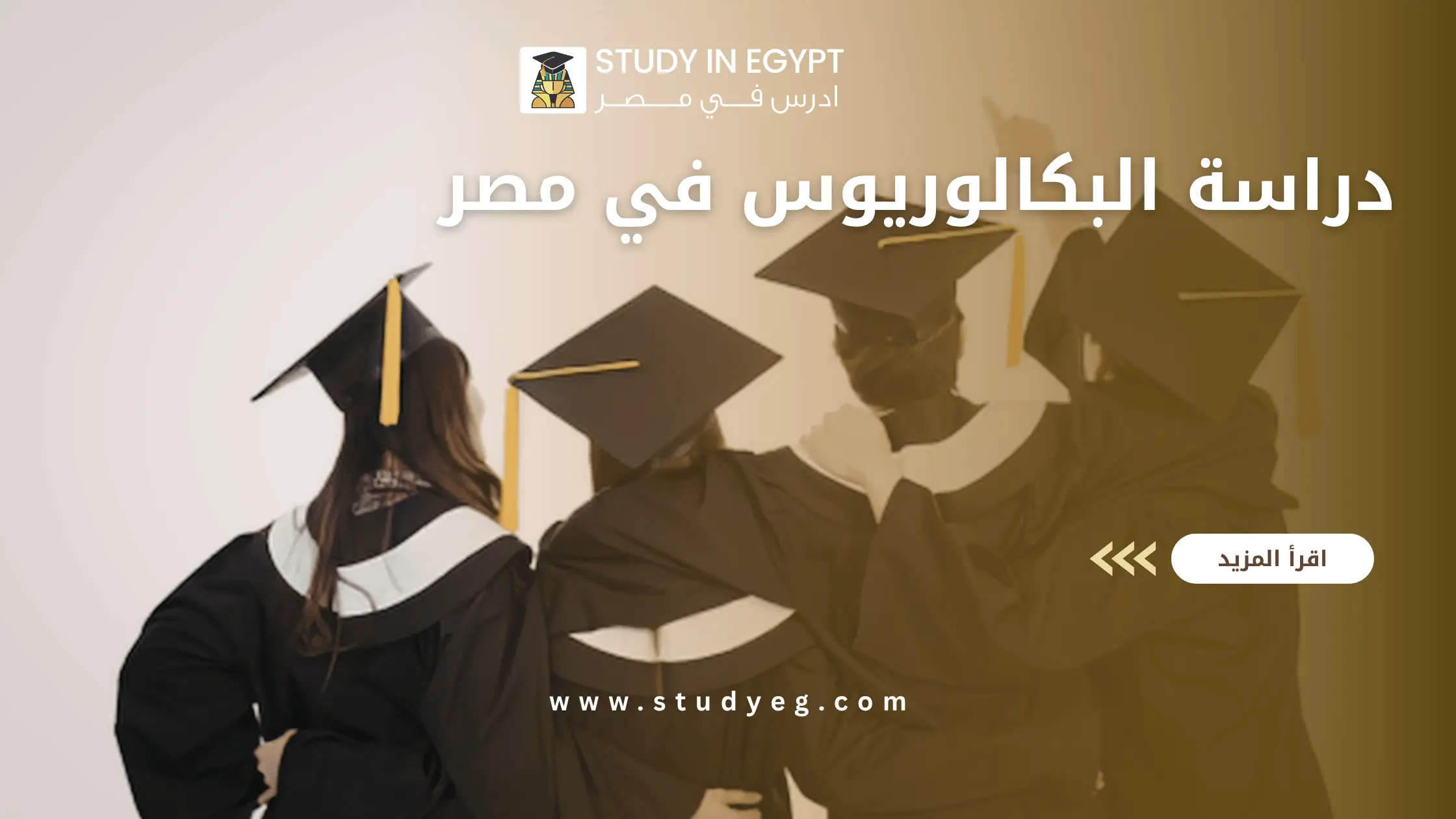 دراسة البكالوريوس في مصر