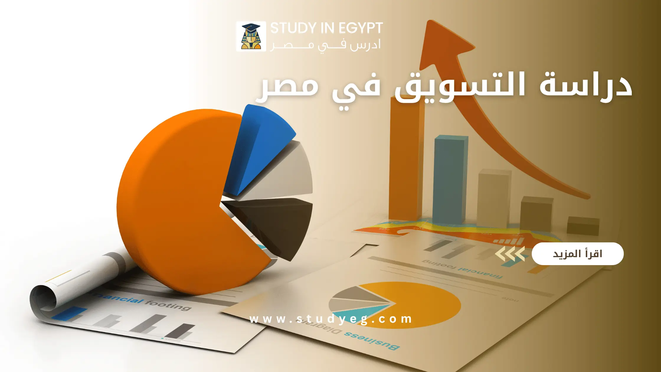دراسة التسويق في مصر
