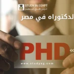 دراسة الدكتوراه في مصر عن بعد