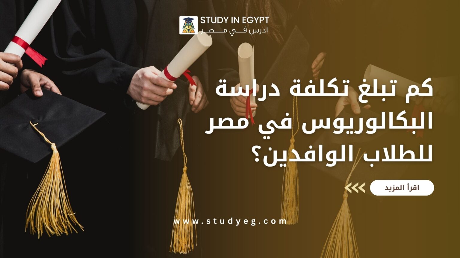 تكلفة دراسة البكالوريوس في مصر