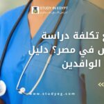 تكلفة دراسة التمريض في مصر