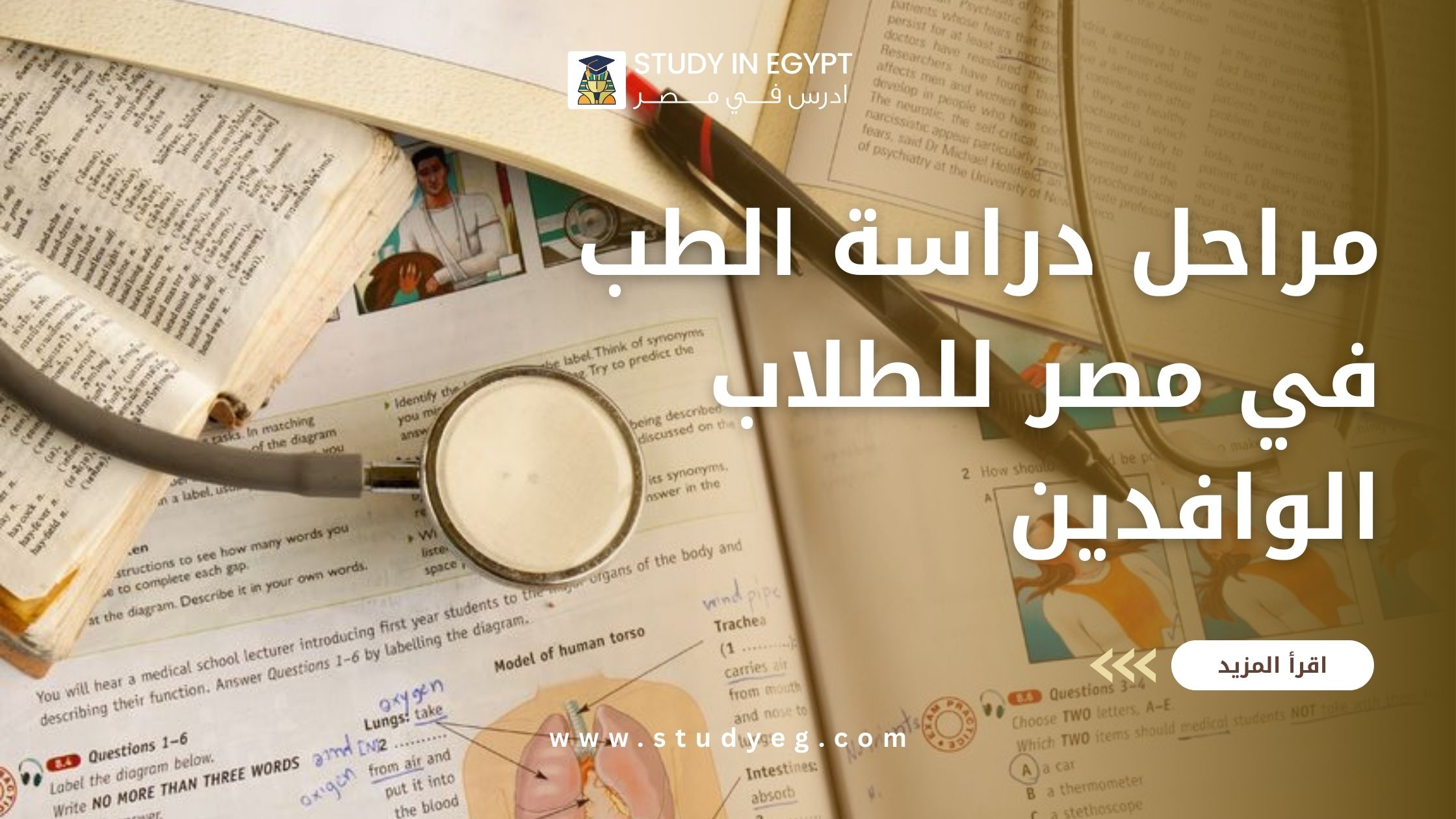 مراحل دراسة الطب في مصر