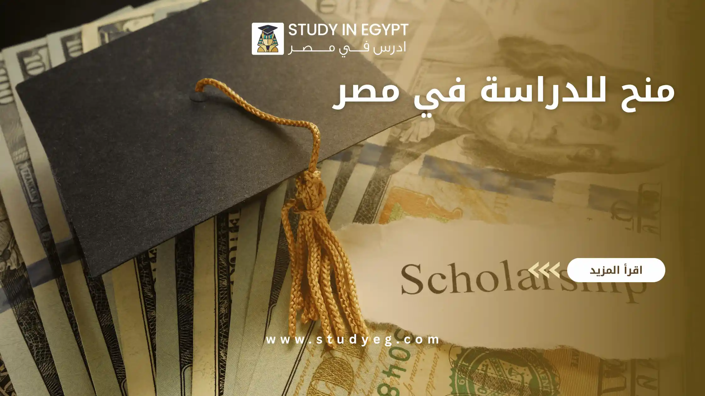 دليل منح دراسية مجانية في مصر لغير المصريين