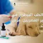 دراسة الطب البيطري في مصر