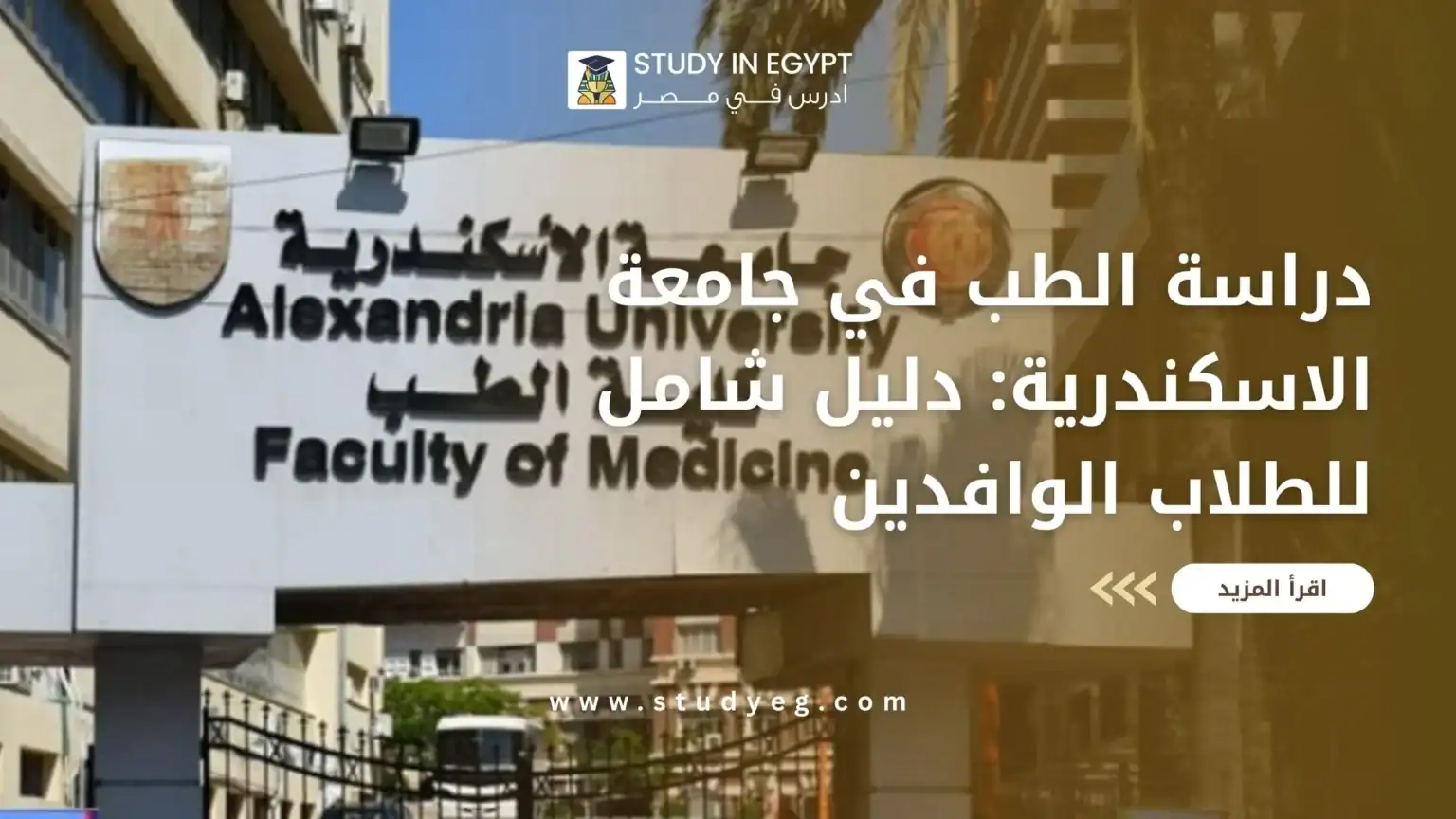دراسة الطب في جامعة الاسكندرية