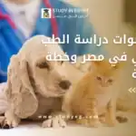 عدد سنوات دراسة الطب البيطري في مصر