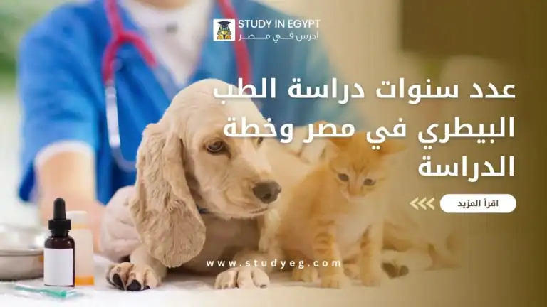 عدد سنوات دراسة الطب البيطري في مصر