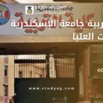 كلية التربية جامعة الإسكندرية الدراسات العليا