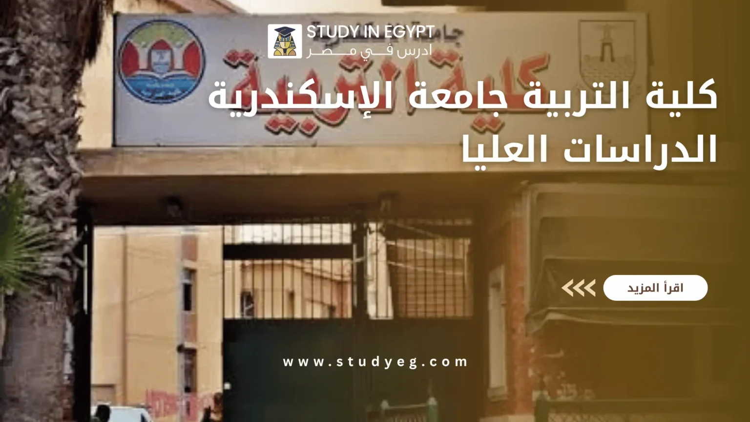 كلية التربية جامعة الإسكندرية الدراسات العليا