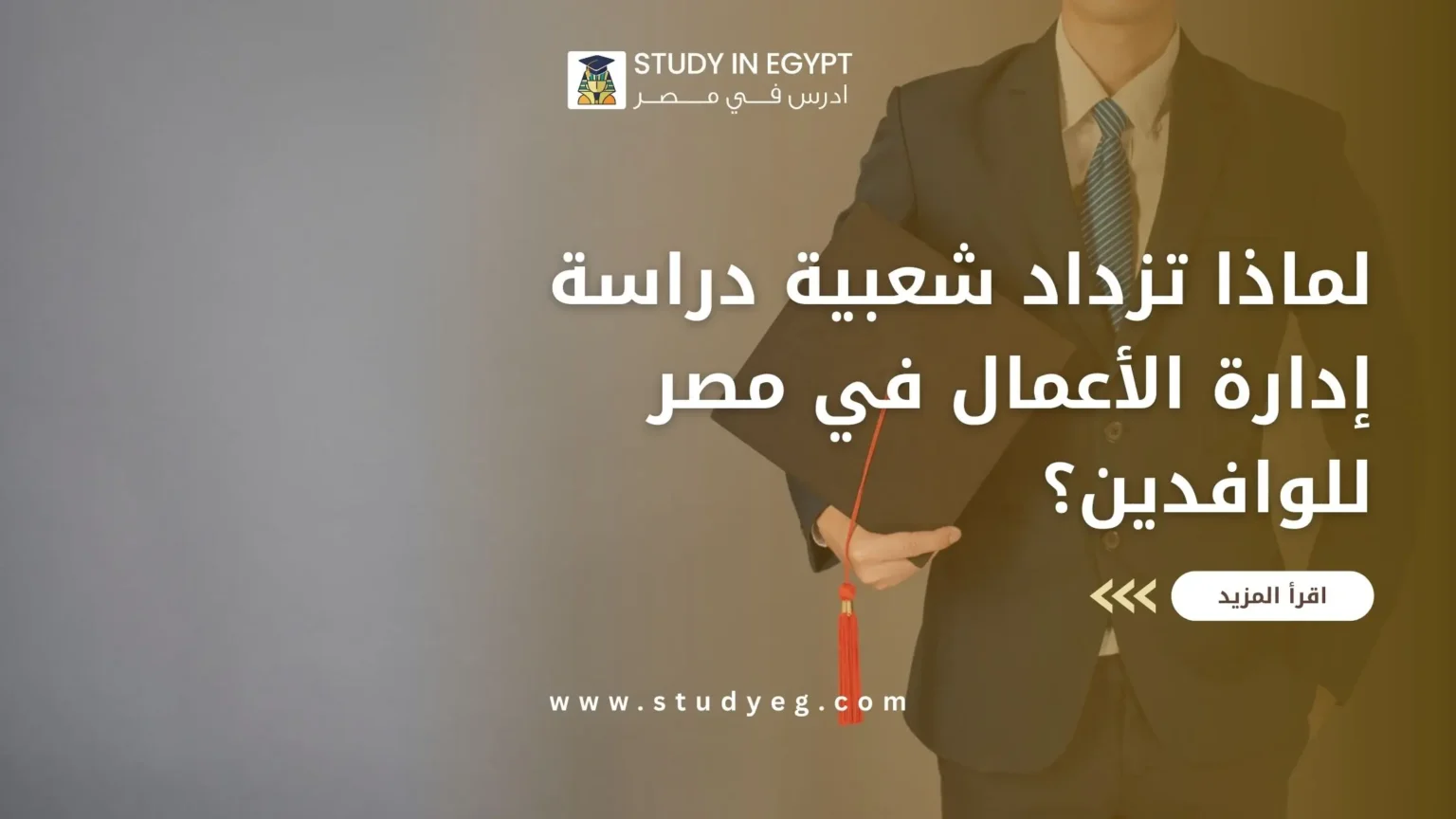 دراسة إدارة الأعمال في مصر