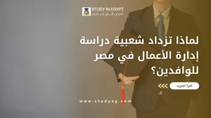 دراسة إدارة الأعمال في مصر