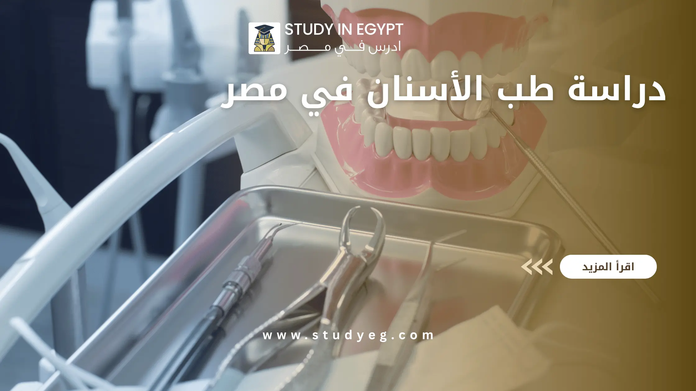 دراسة طب الأسنان في مصر