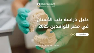 دراسة طب الأسنان في مصر