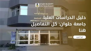 دليل الدراسات العليا جامعة حلوان