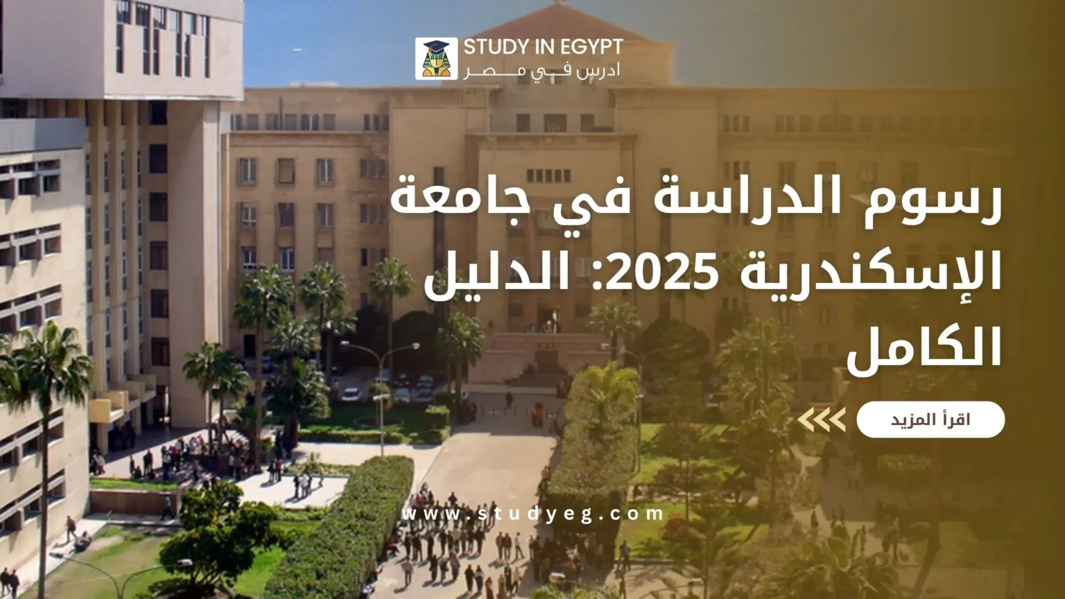 رسوم الدراسة في جامعة الاسكندرية