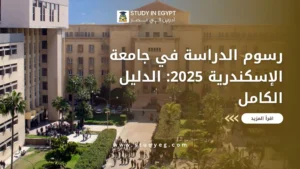 رسوم الدراسة في جامعة الاسكندرية