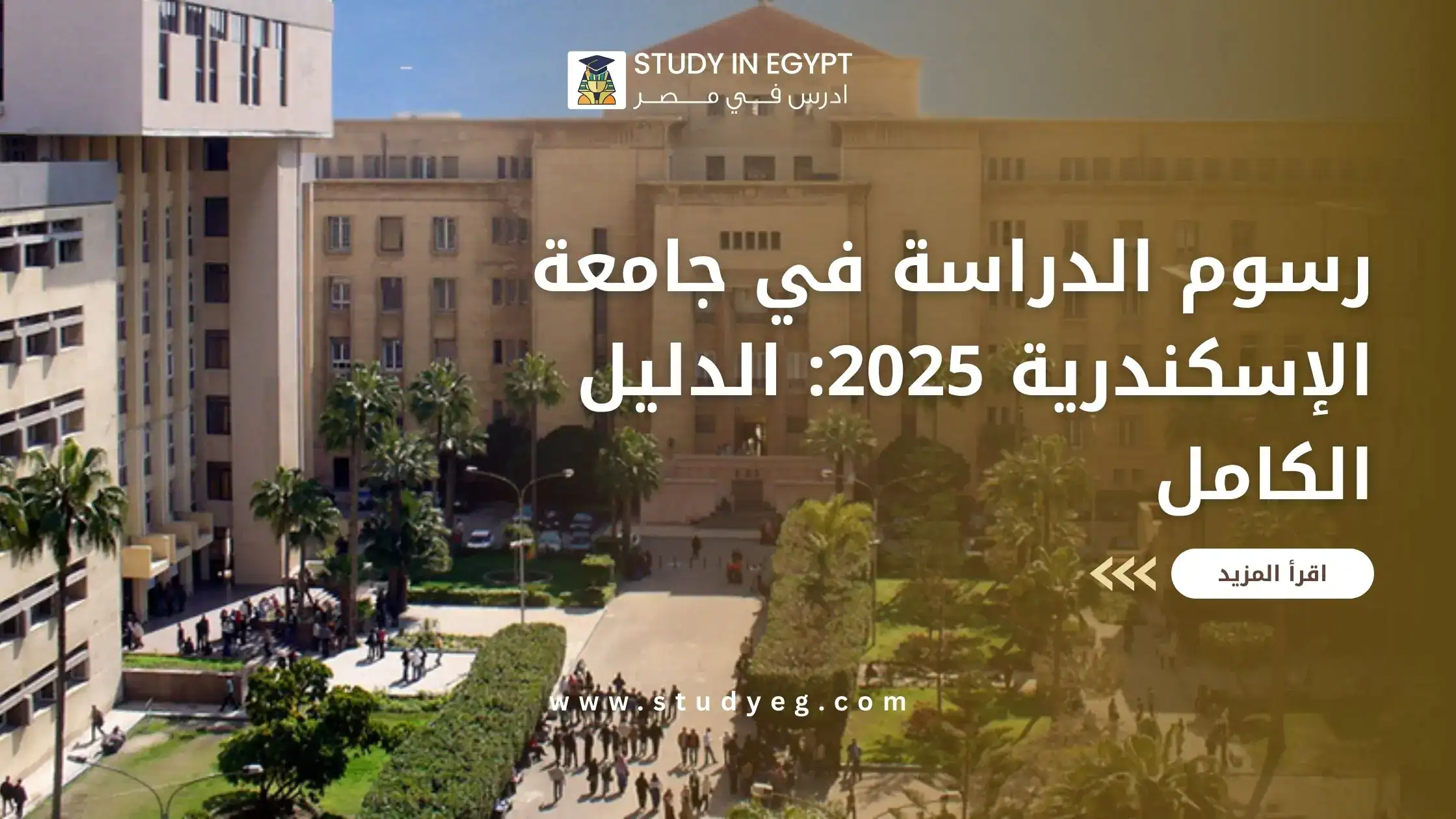 رسوم الدراسة في جامعة الاسكندرية