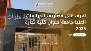 مصاريف الدراسات العليا جامعة حلوان كلية تجارة