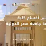 أقسام كلية الهندسة جامعة مصر الدولية