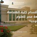 اقسام هندسة جامعة مصر للعلوم والتكنولوجيا