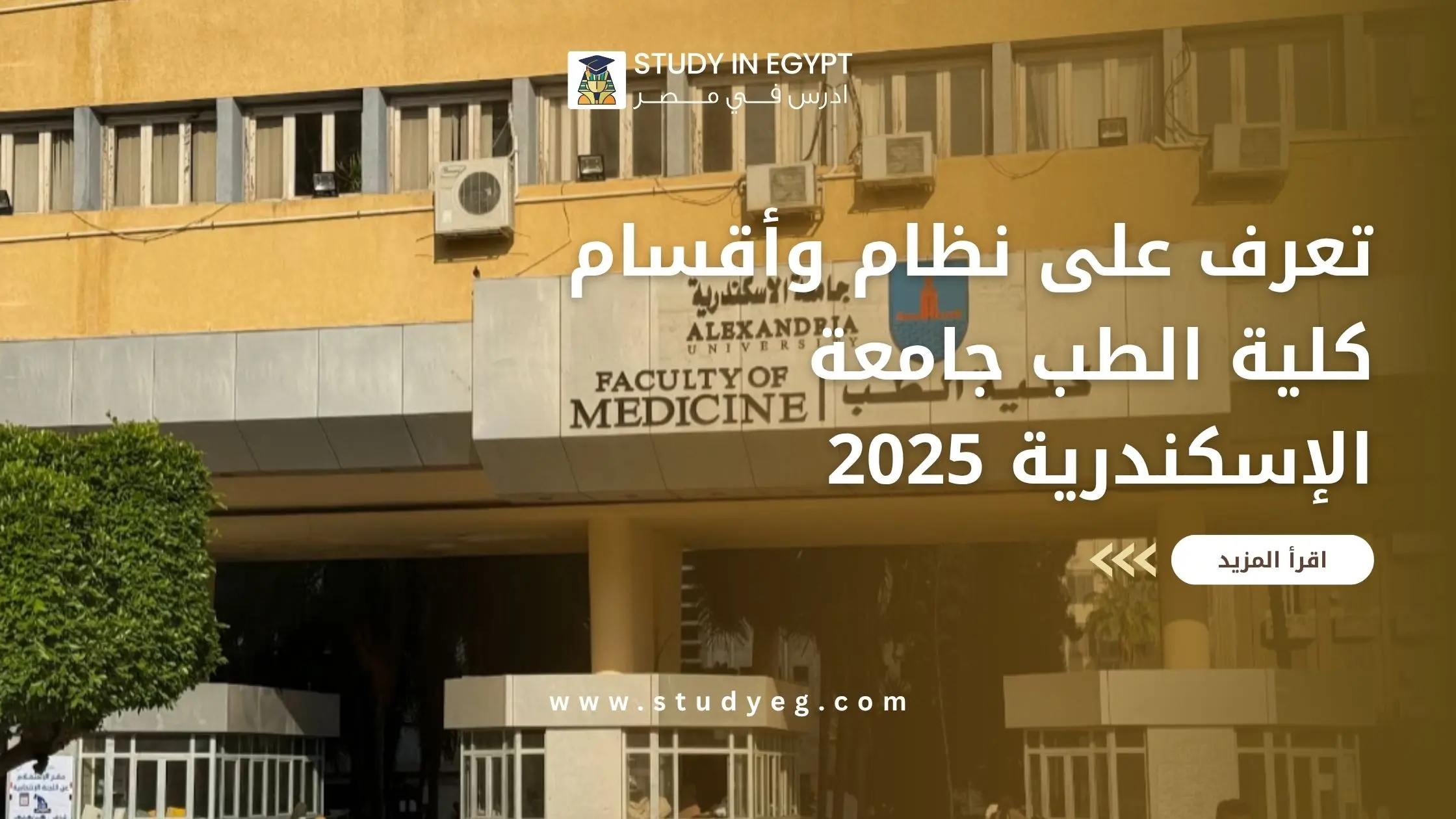 أقسام كلية الطب جامعة الإسكندرية
