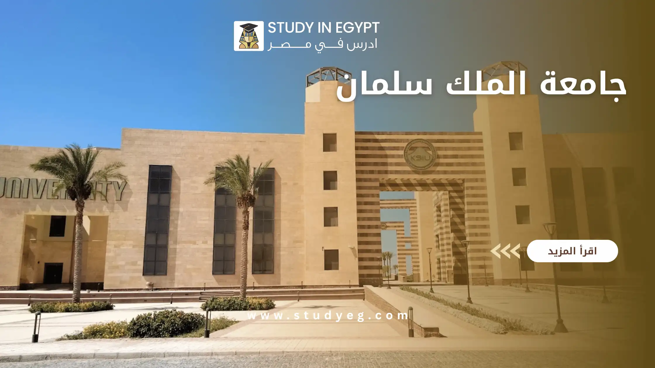 دليل الدراسة في جامعة الملك سلمان الدولية في مصر للوافدين