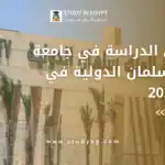 جامعة الملك سلمان الدولية في مصر