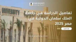 جامعة الملك سلمان الدولية في مصر