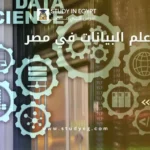 دراسة علم البيانات في مصر