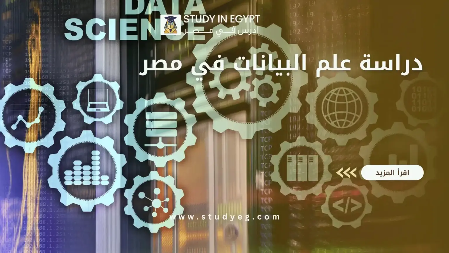 دراسة علم البيانات في مصر