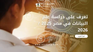دراسة علم البيانات في مصر