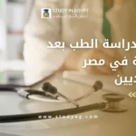 دراسة الطب بعد الصيدلة في مصر