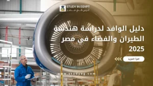 هندسة الطيران والفضاء في مصر