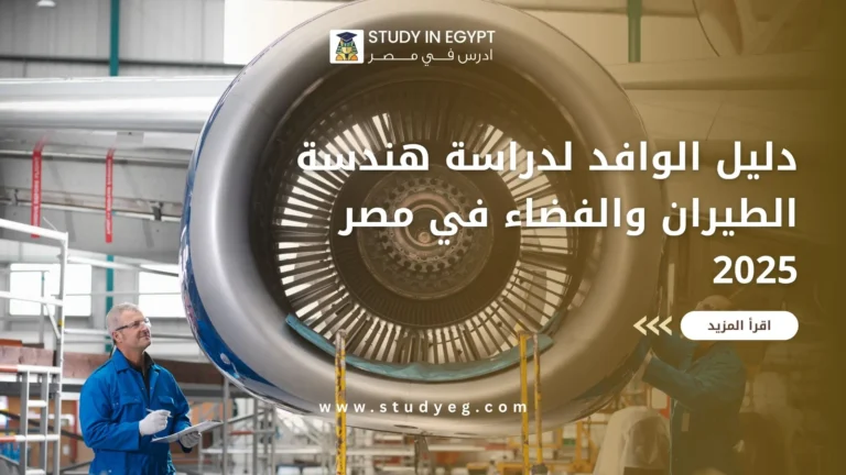 هندسة الطيران والفضاء في مصر