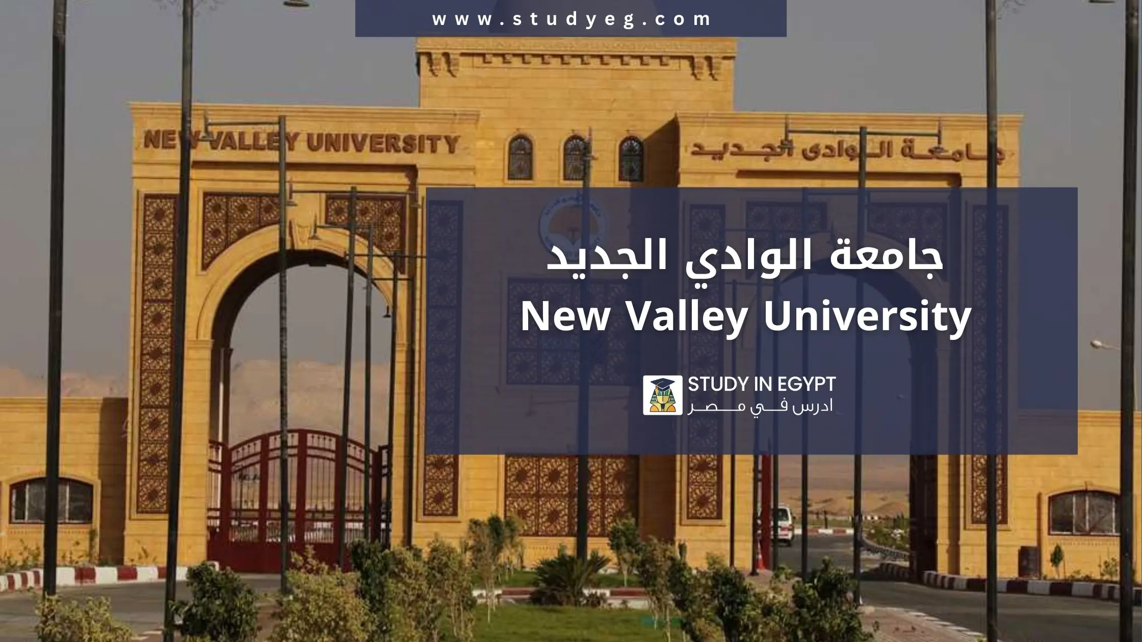دليل التقديم في جامعة الوادي الجديد للوافدين 2026