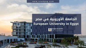 التسجيل في الجامعات الأوروبية في مصر
