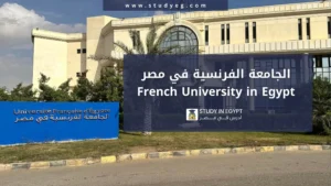 التسجيل في الجامعة الفرنسية في مصر