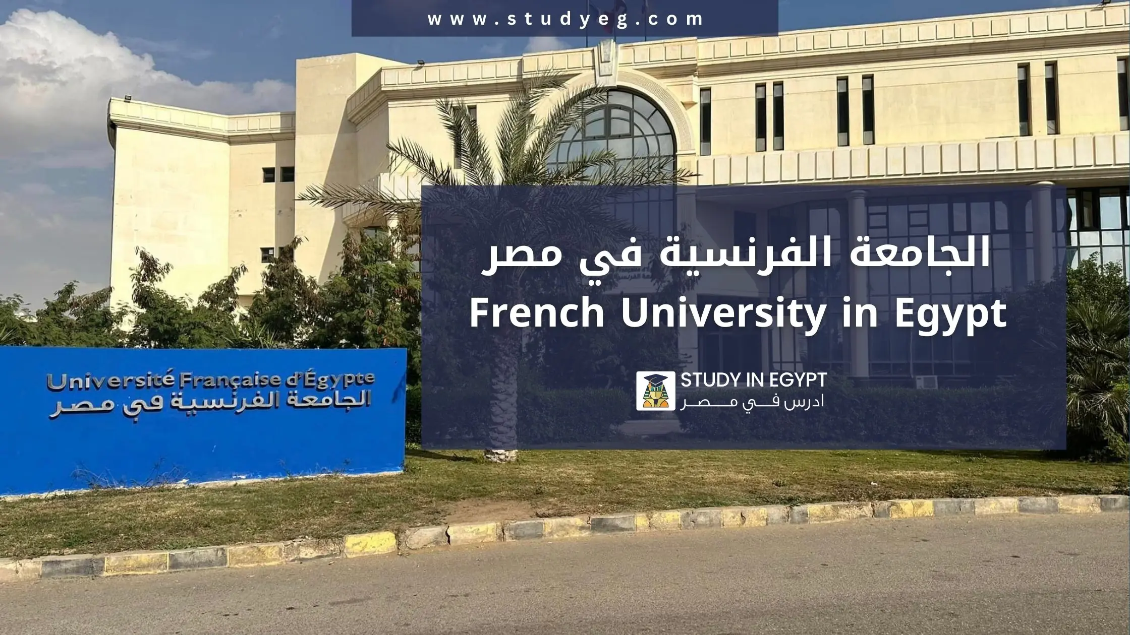 التسجيل في الجامعة الفرنسية في مصر