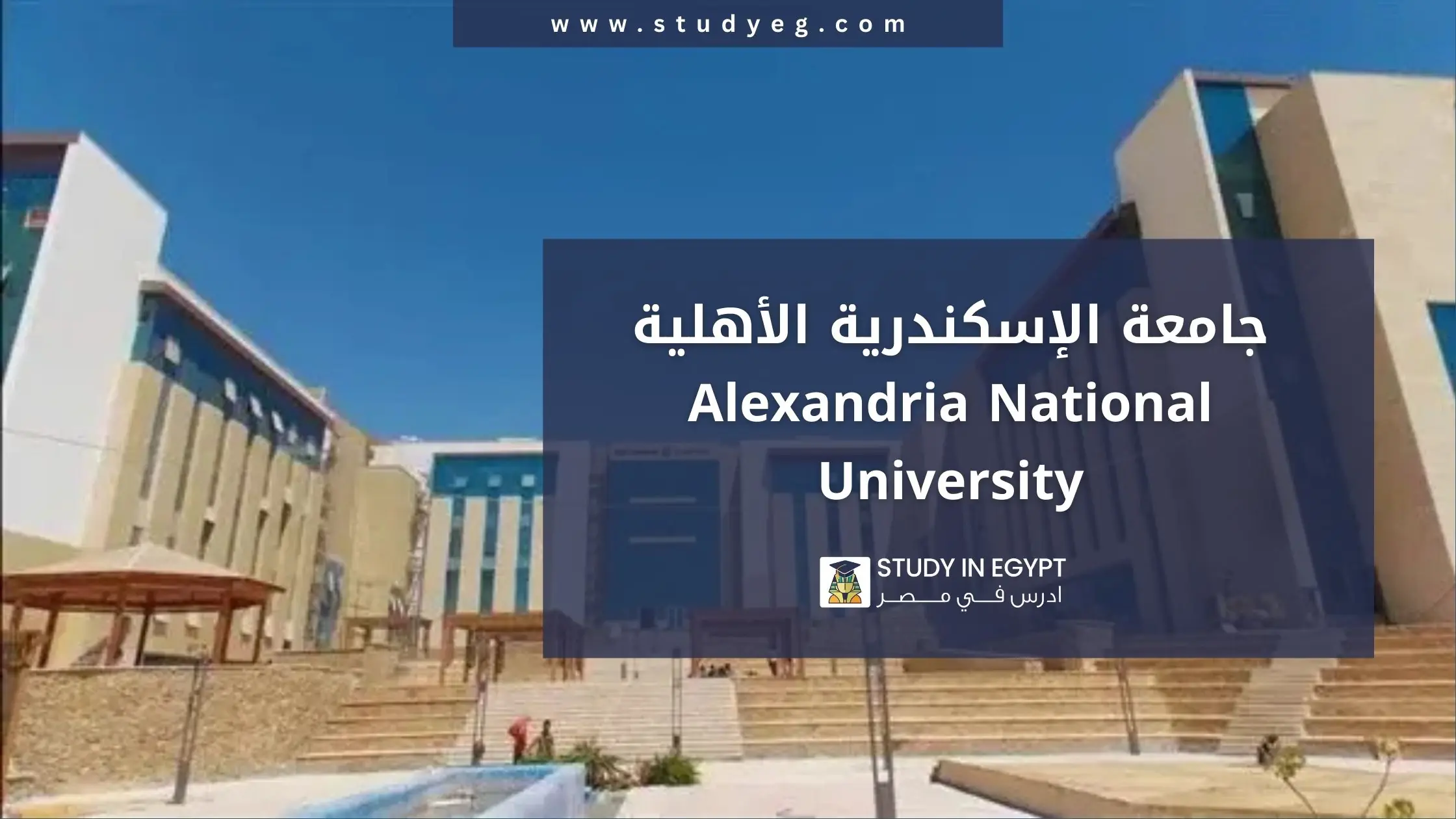 التقديم في جامعة الإسكندرية الأهلية