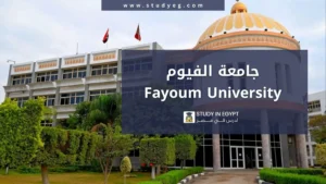التقديم في جامعة الفيوم