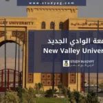 التقديم في جامعة الوادي الجديد