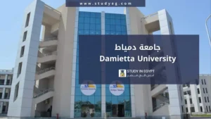 التقديم في جامعة دمياط