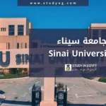 التقديم في جامعة سيناء