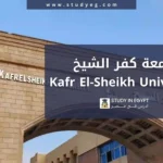 التقديم في جامعة كفر الشيخ