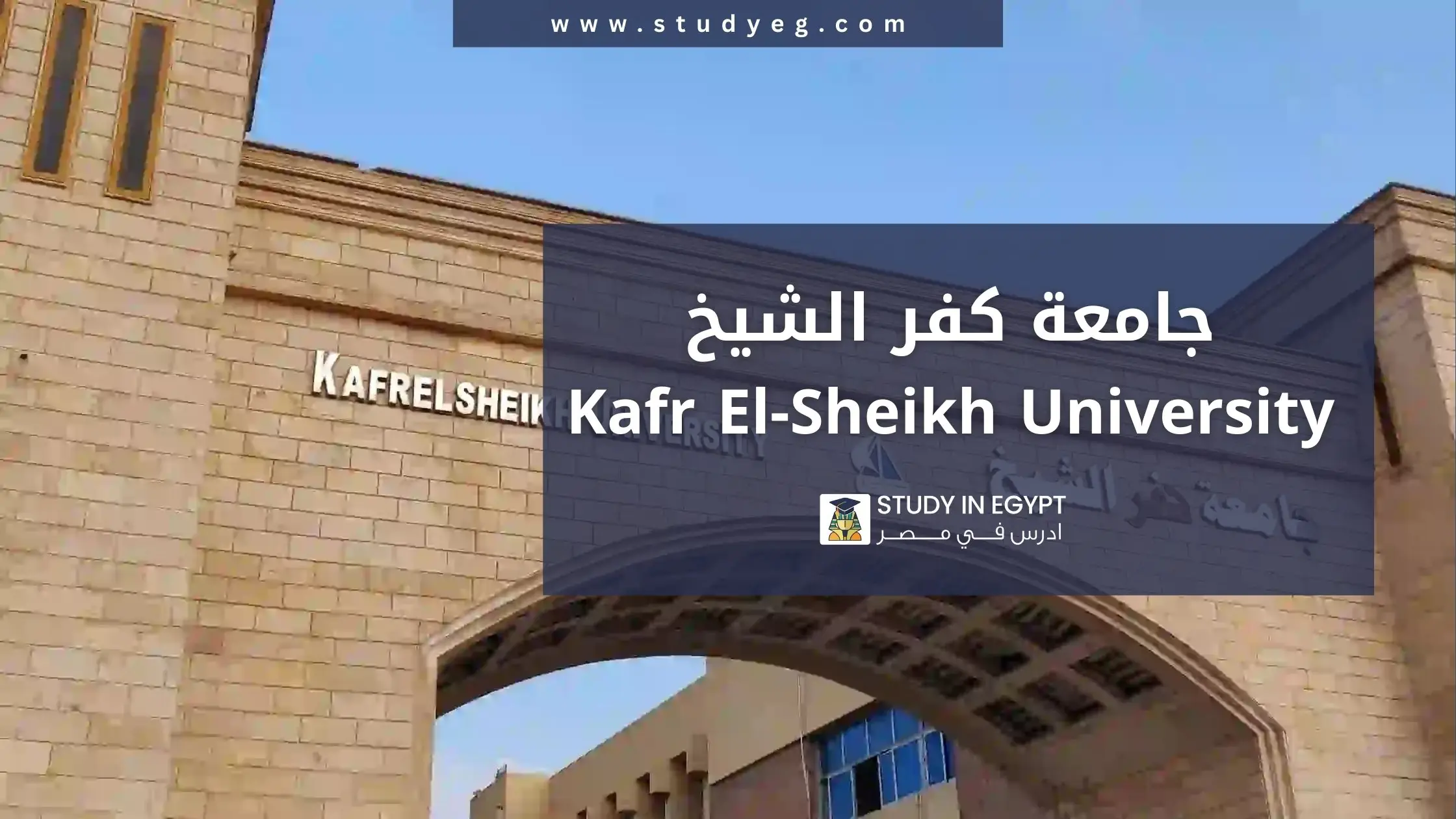 التقديم في جامعة كفر الشيخ