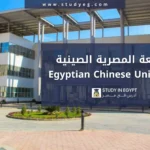 الدراسة في الجامعة المصرية الصينية